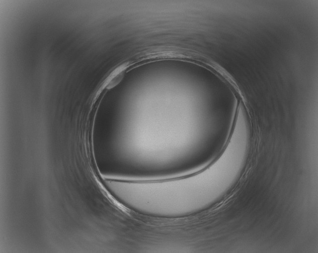X0000053011293200507081011