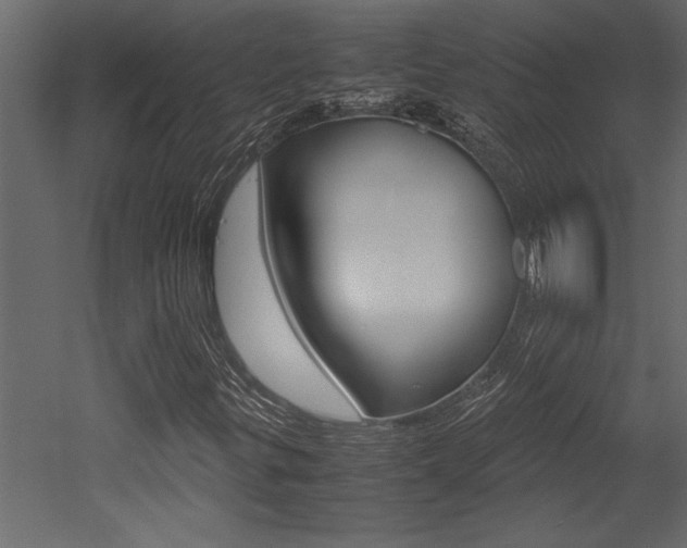 X0000053011299200507081011