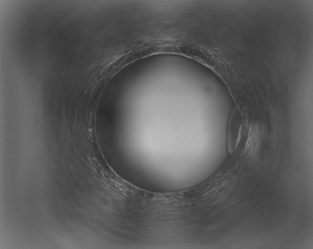 X0000053011301200507081011