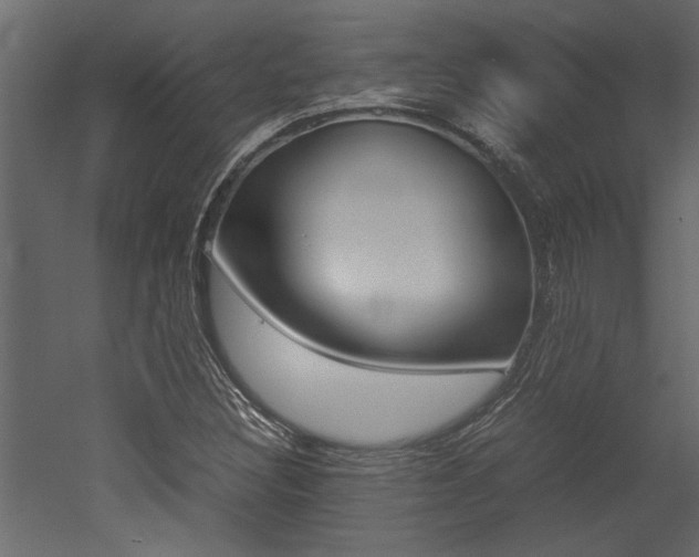 X0000053011308200507081011