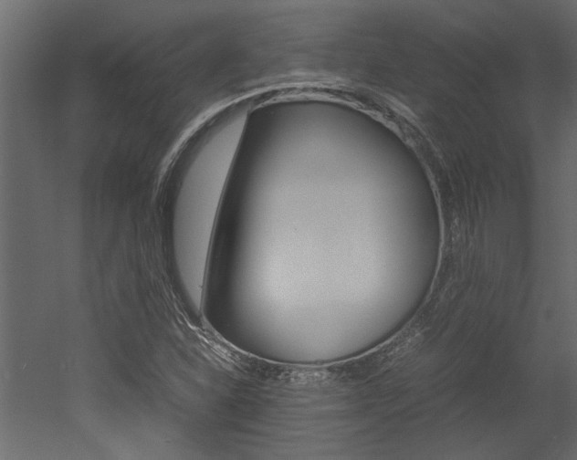 X0000053011310200507081011