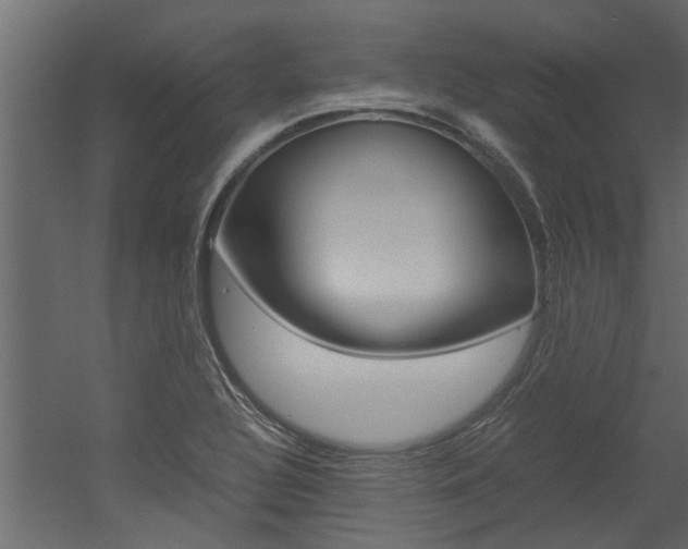 X0000053011320200507081011
