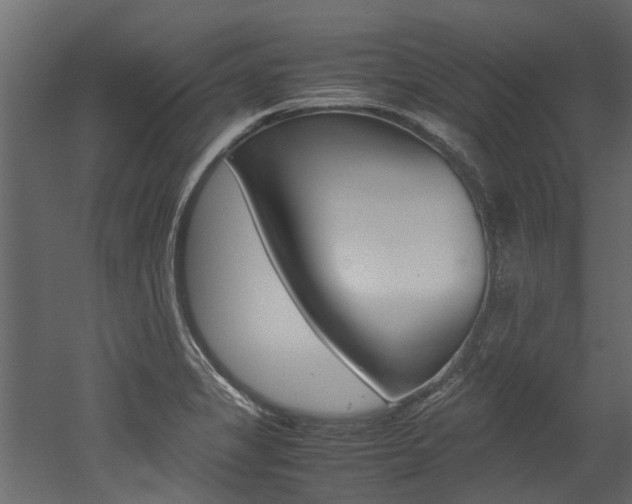 X0000053011325200507081011