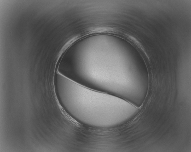 X0000053011330200507081011