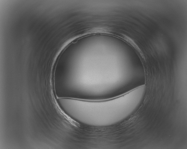 X0000053011339200507081011