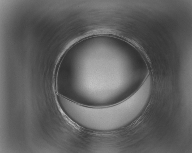 X0000053011342200507081011