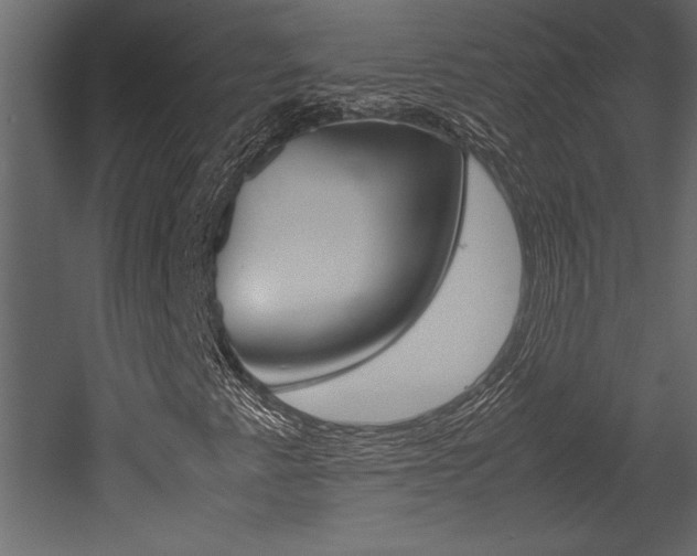 X0000053011345200507081011