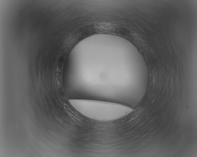 X0000053011346200507081011