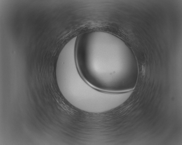 X0000053011348200507081010