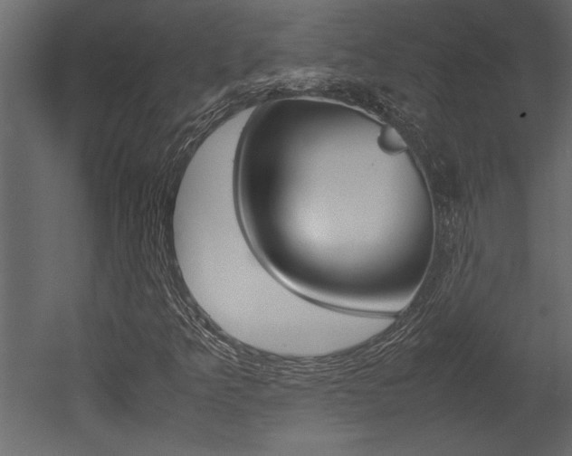 X0000053011349200507081010