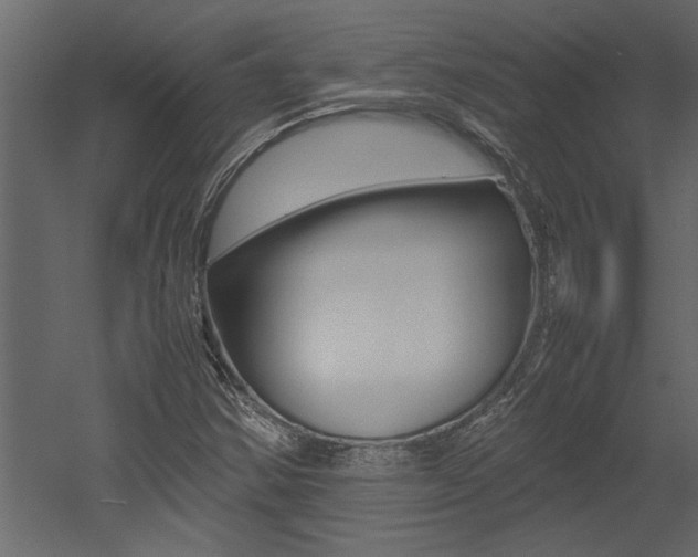 X0000053011354200507081010