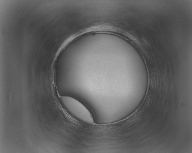 X0000053011366200507081010