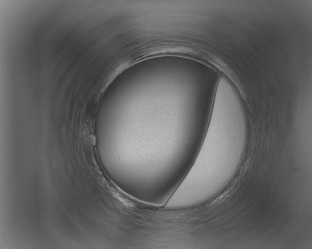 X0000053011377200507081010