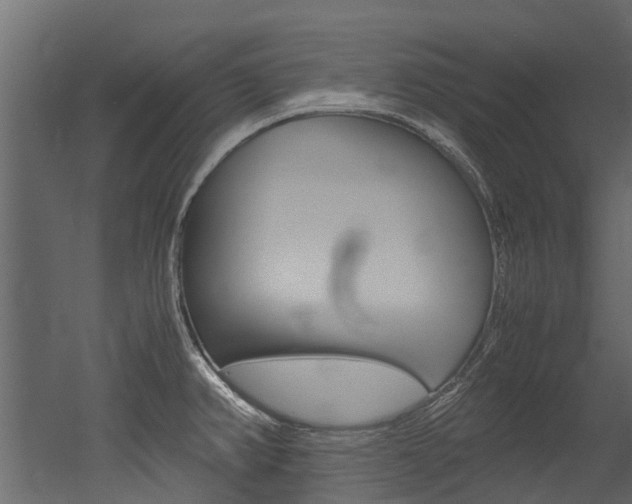 X0000053011382200507081010