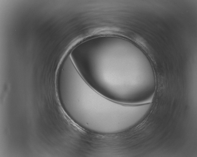 X0000053011384200507081010