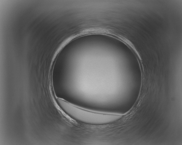X0000053011389200507081010