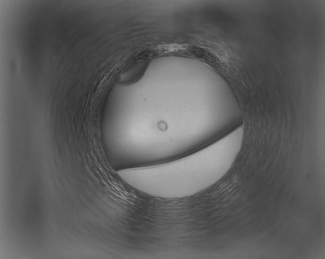 X0000053011393200507081009