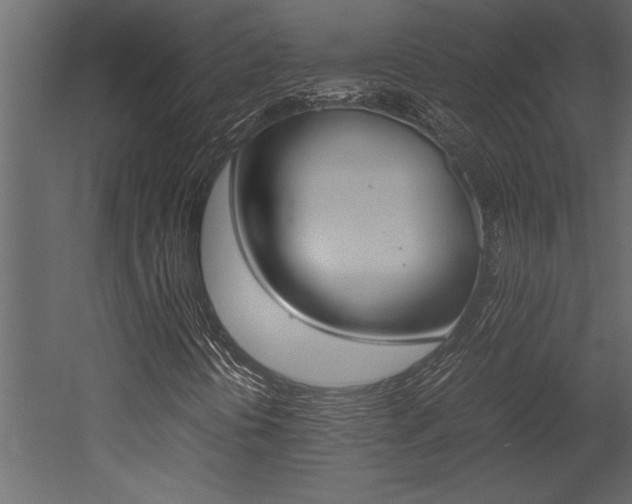 X0000053011394200507081009
