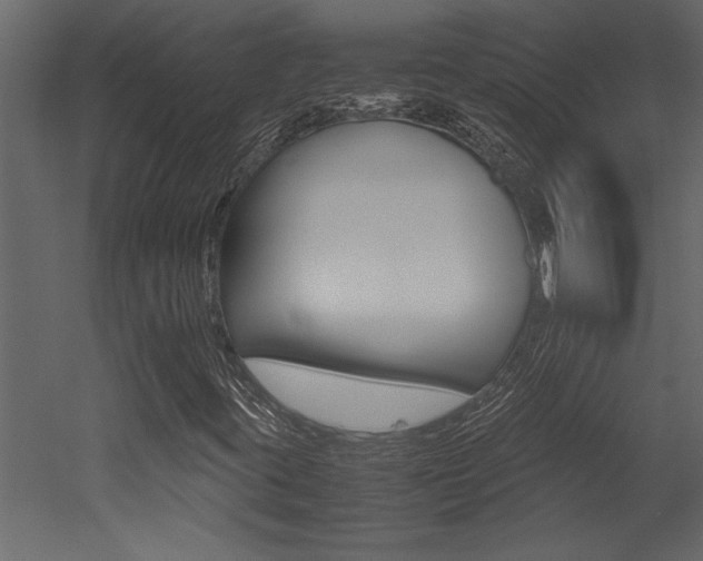 X0000053011395200507081009