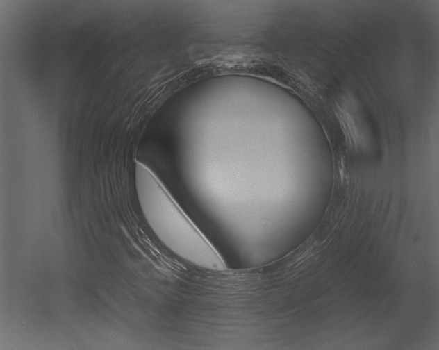 X0000053011396200507081009