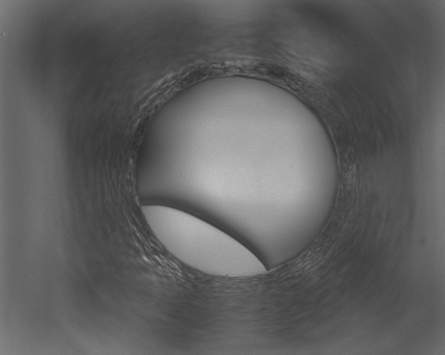 X0000053011397200507081009