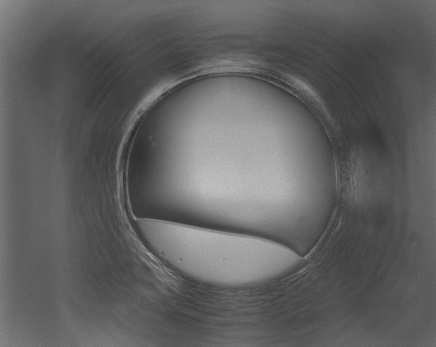 X0000053011419200507081009