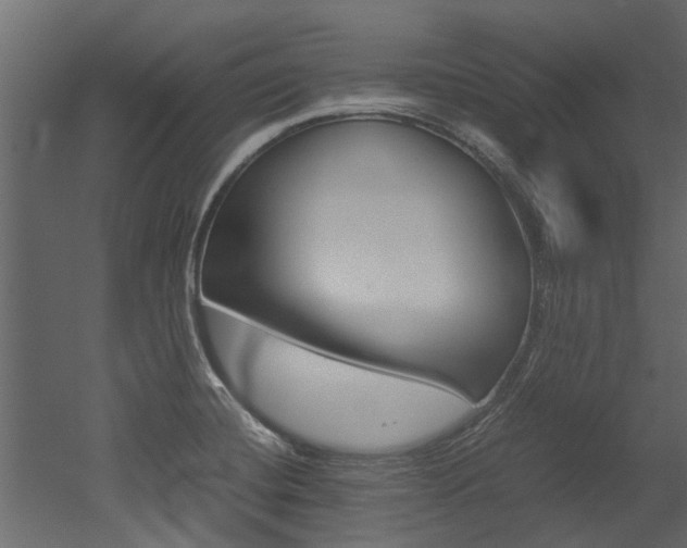 X0000053011420200507081009