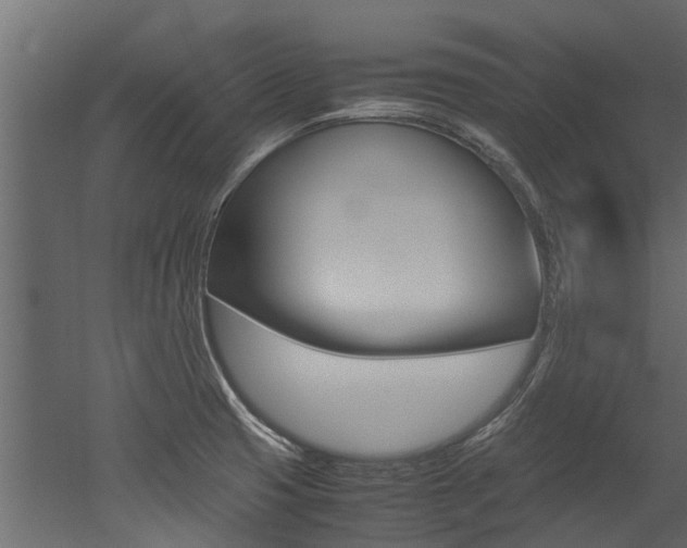 X0000053011425200507081009