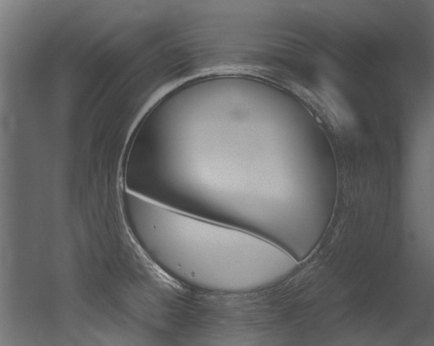 X0000053011428200507081010