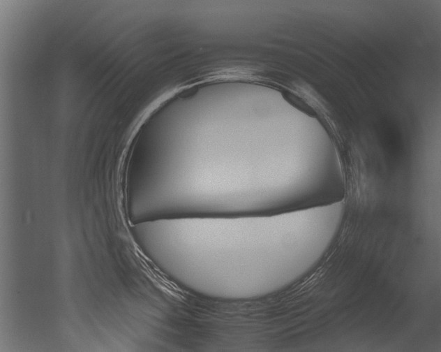 X0000053011435200507081010