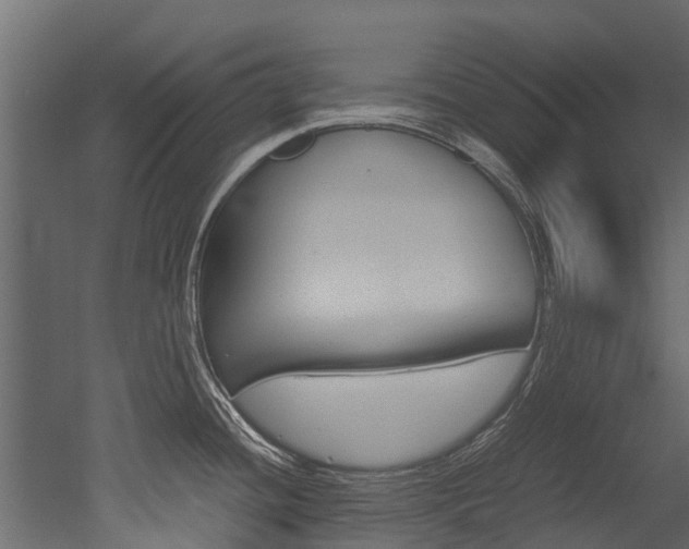 X0000053011436200507081010