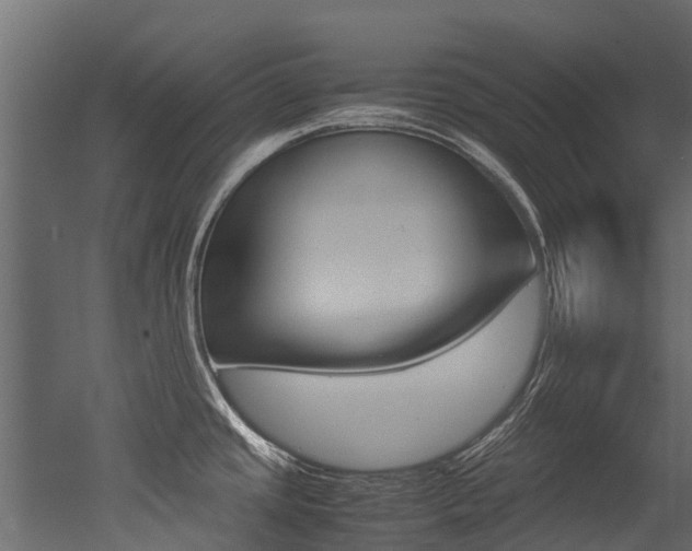 X0000053011437200507081010
