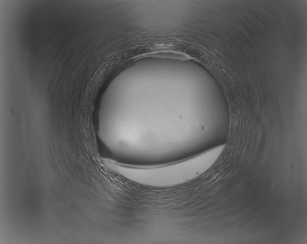X0000053011441200507081009