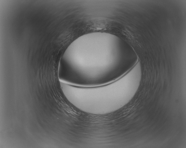 X0000053011442200507081009