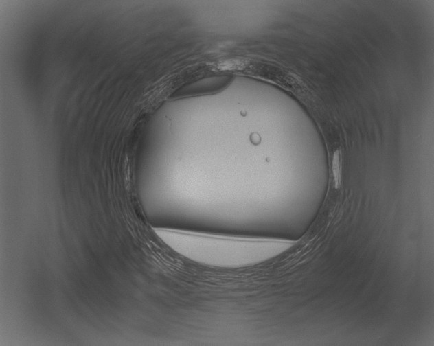 X0000053011443200507081009