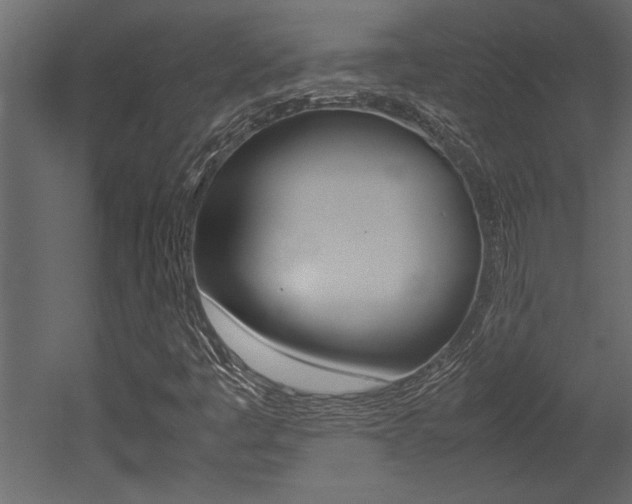 X0000053011445200507081009