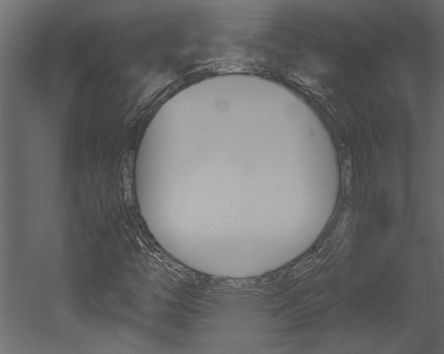 X0000053011446200507081009