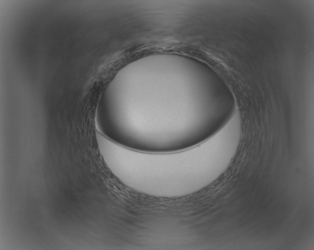 X0000053011447200507081009