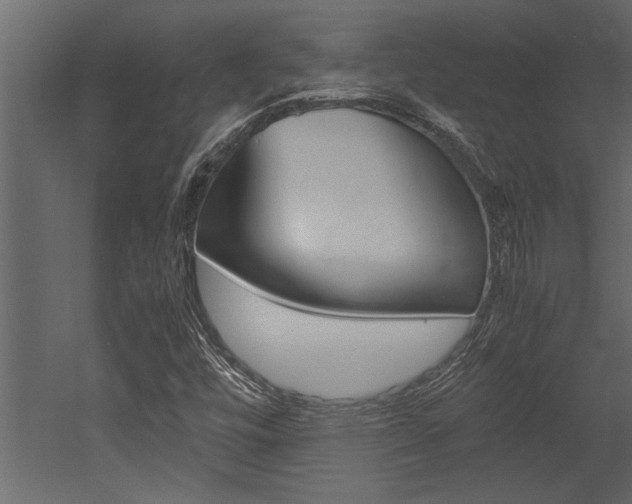 X0000053011448200507081009