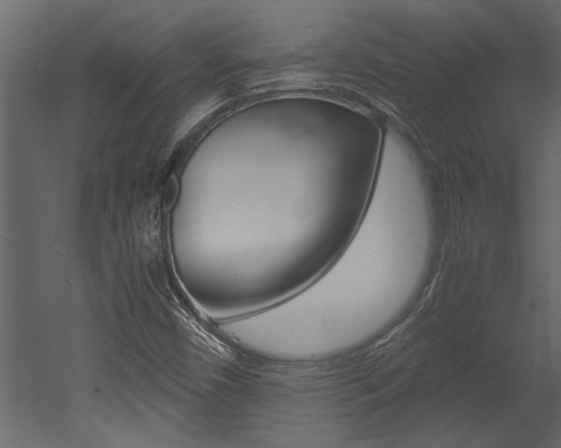 X0000053011450200507081009