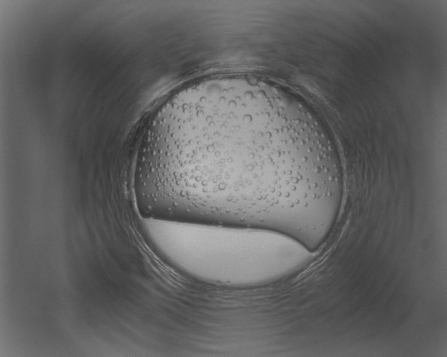 X0000053011451200507081009