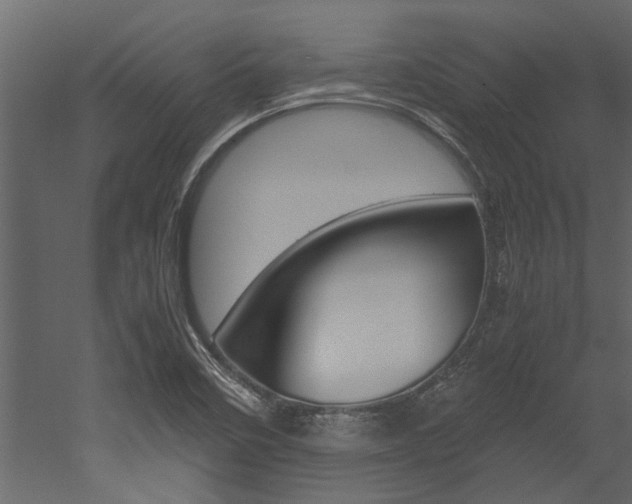 X0000053011458200507081009