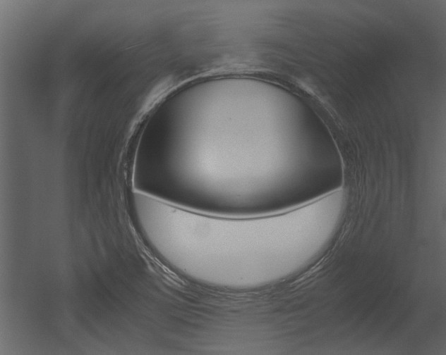X0000053011459200507081009