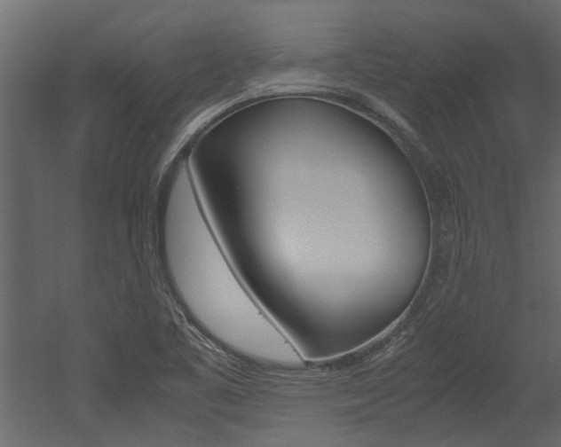 X0000053011461200507081009