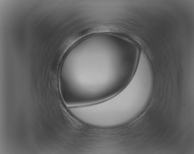 X0000053011465200507081009