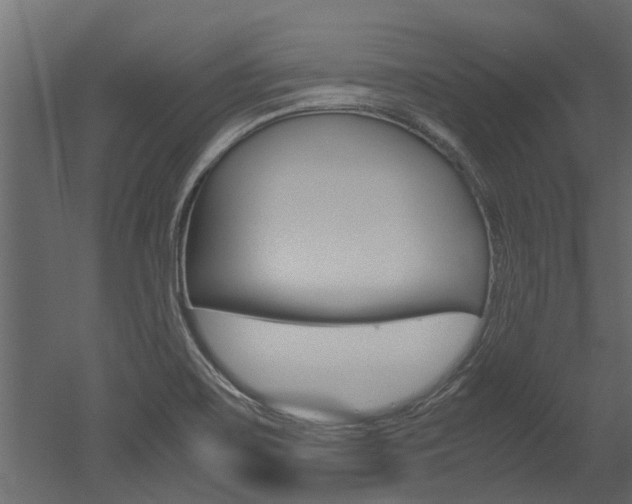 X0000053011467200507081008