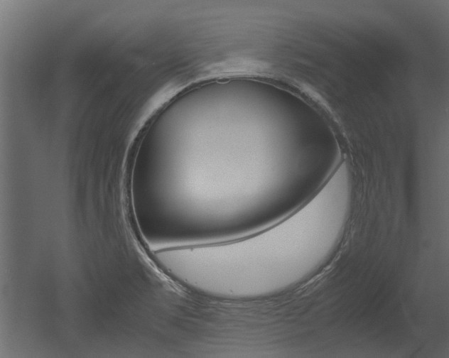 X0000053011469200507081008