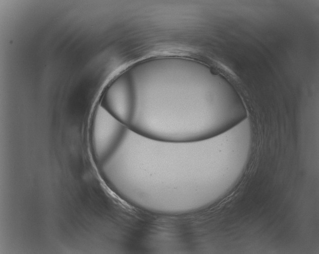 X0000053011471200507081008