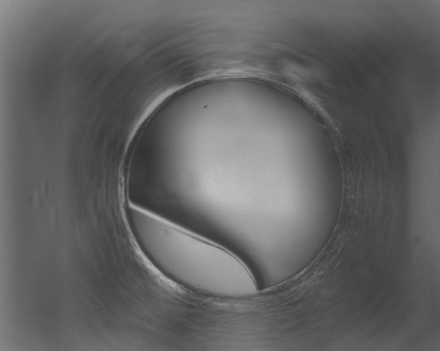 X0000053011476200507081008