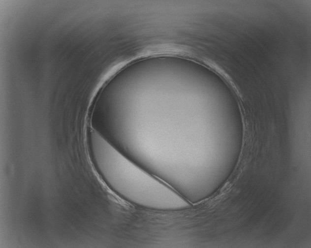 X0000053011477200507081008